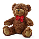 Adorable Plush Bear – Albertsons, Pleasanton CA