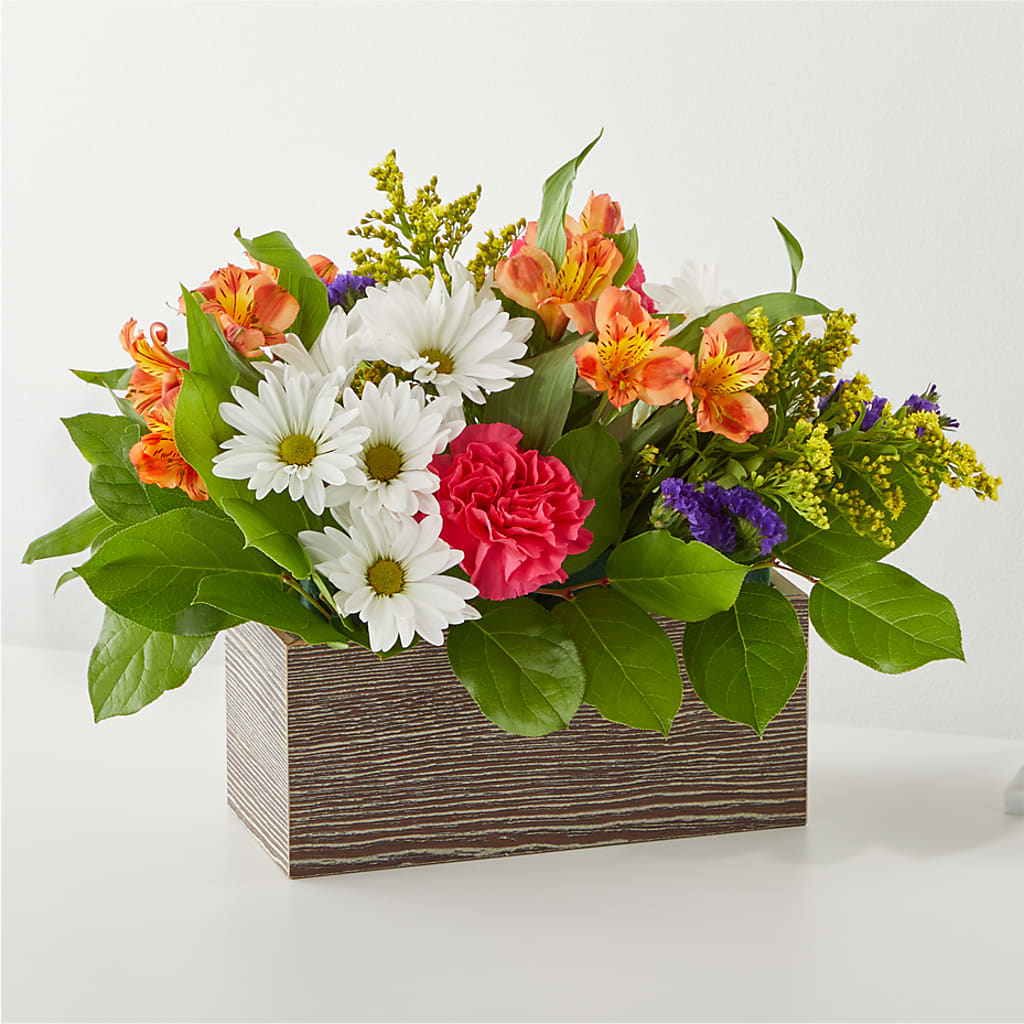 Oopsie Daisy Box Bouquet – Albertsons, Pleasanton CA