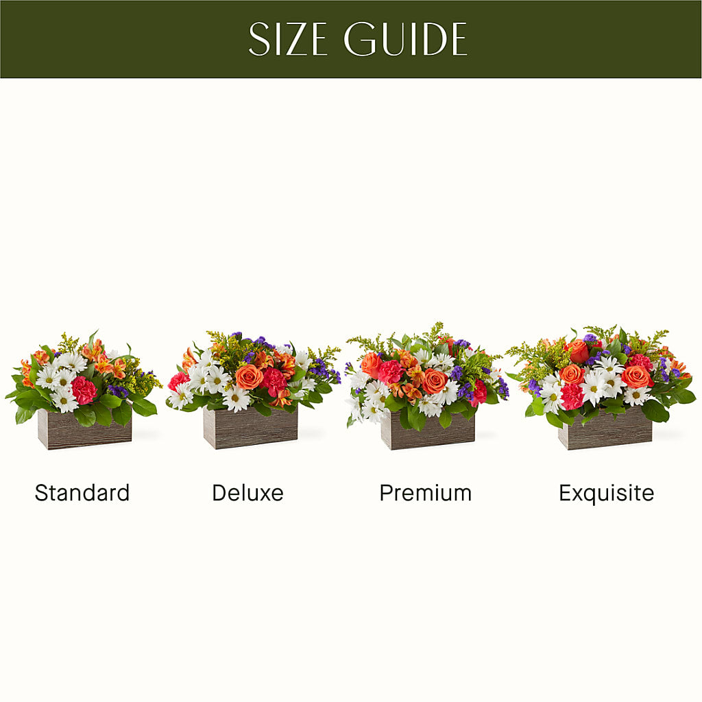 Oopsie Daisy Box Bouquet – Albertsons, Pleasanton CA