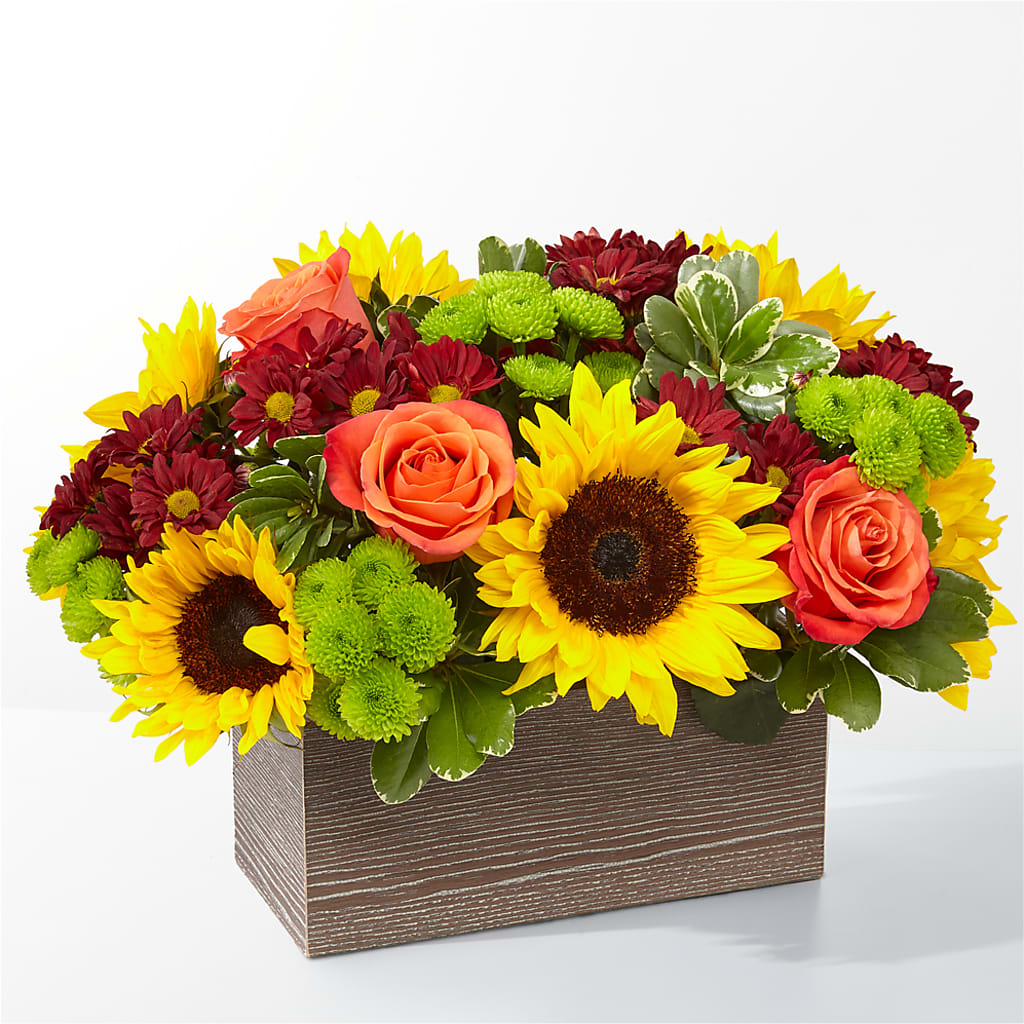 Happy Harvest Garden – Albertsons, Pleasanton CA