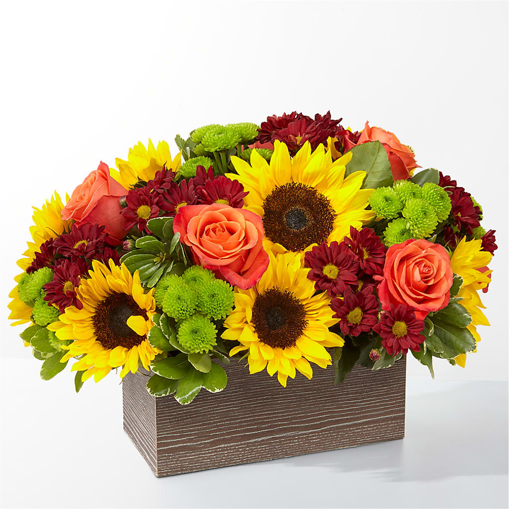 Happy Harvest Garden – Albertsons, Pleasanton CA