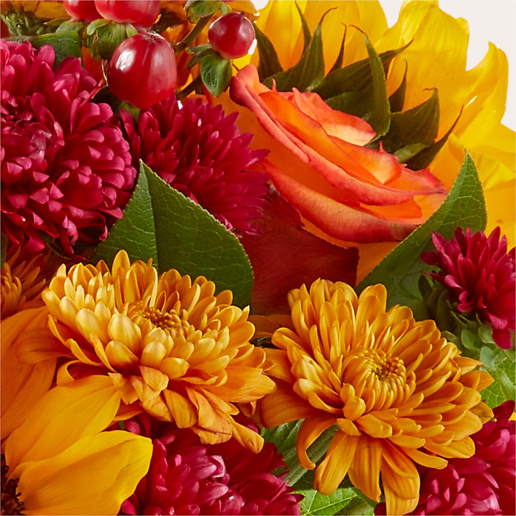 Sweater Season - A Florist Original – Albertsons, Pleasanton CA