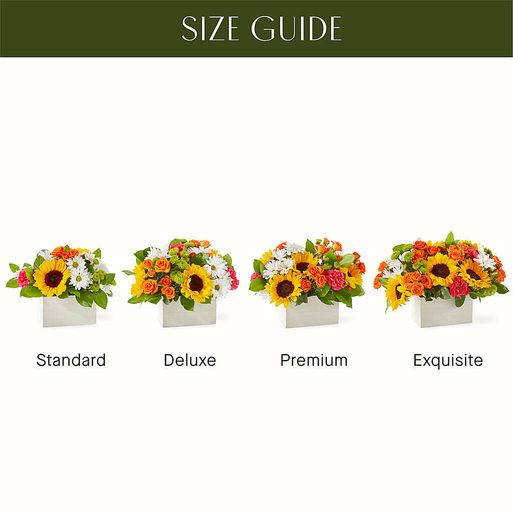 Sun-drenched Blooms Box Bouquet – Albertsons, Pleasanton CA