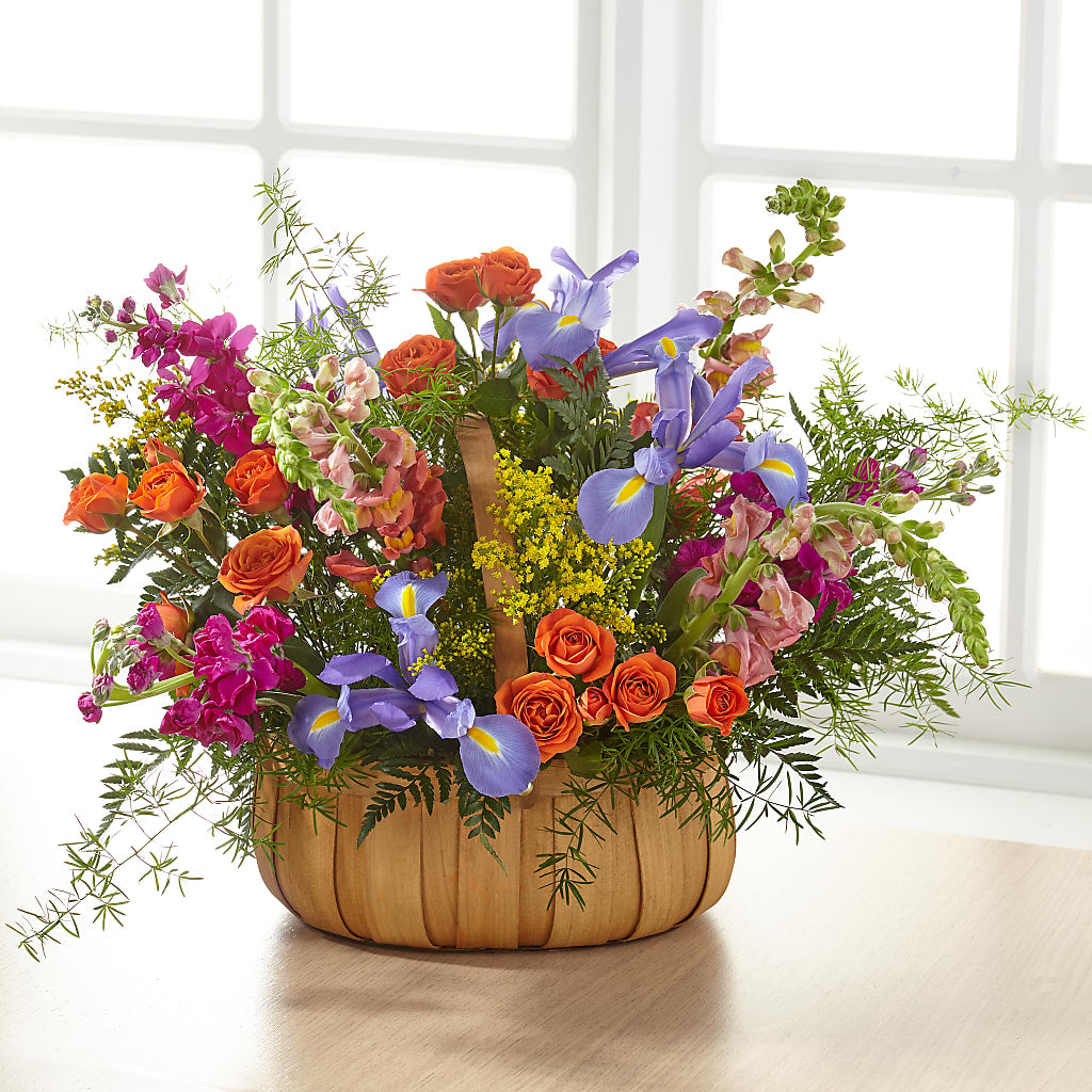 Garden of Life Basket – Albertsons, Pleasanton CA