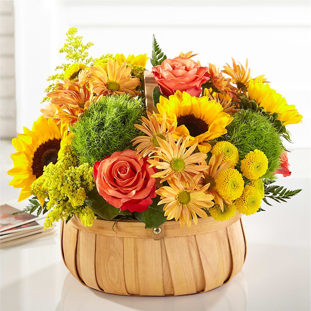 Harvest Sunflower Basket – Albertsons, Pleasanton CA
