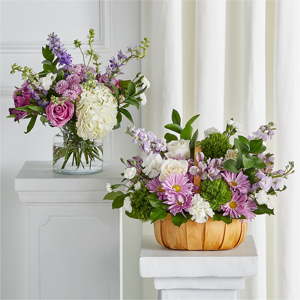 Tender Embrace Bundles – Albertsons, Pleasanton CA