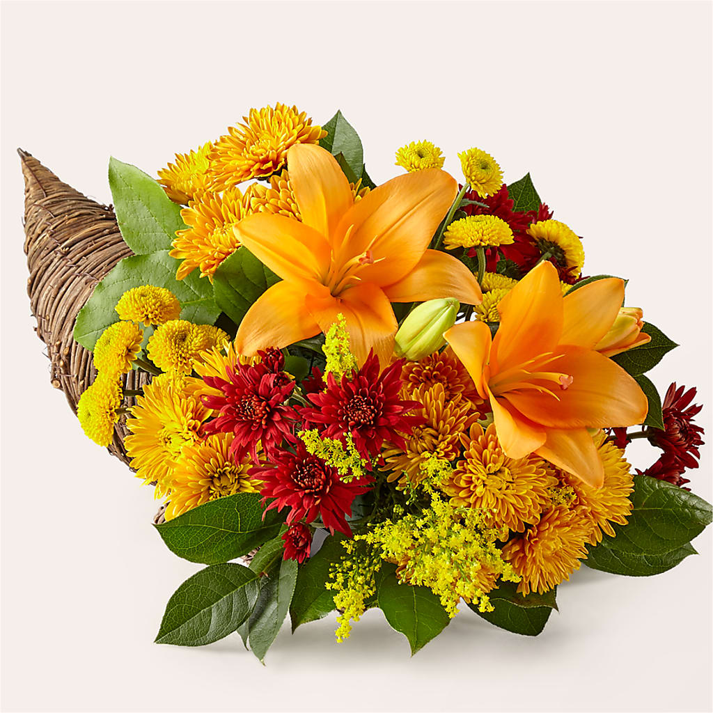 Feast of Color Cornucopia – Albertsons, Pleasanton CA
