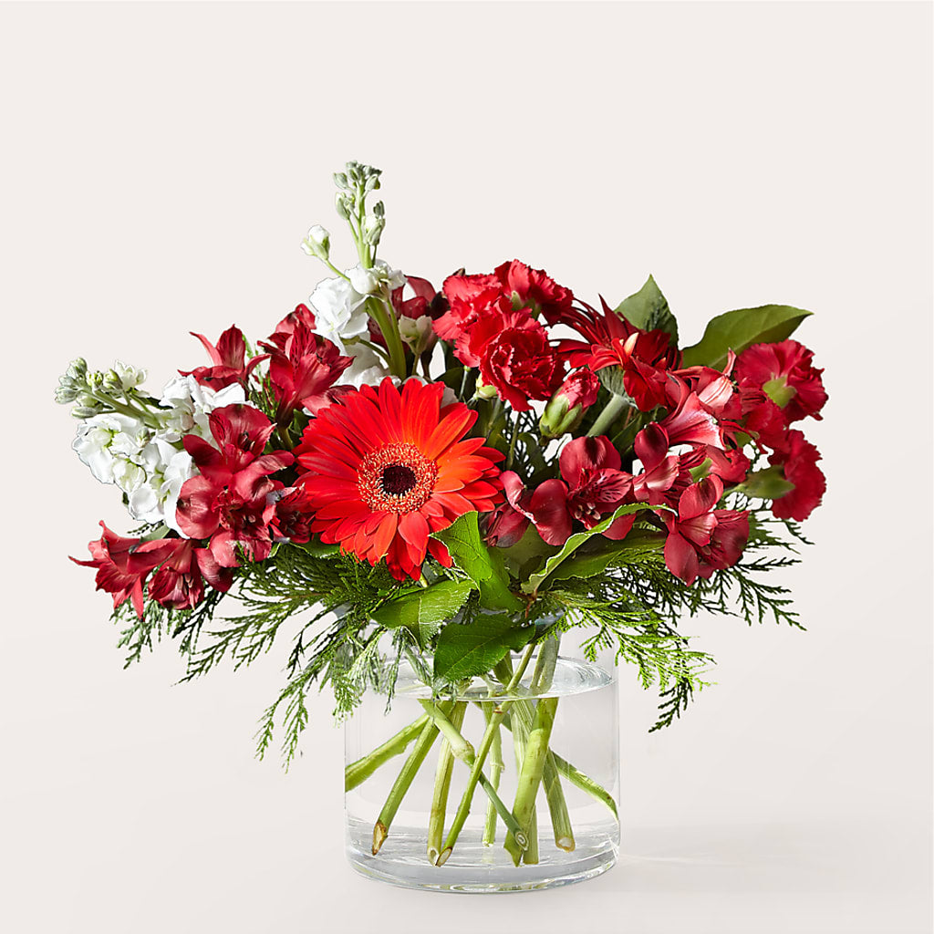 Holidaisy Bouquet – Albertsons, Pleasanton CA