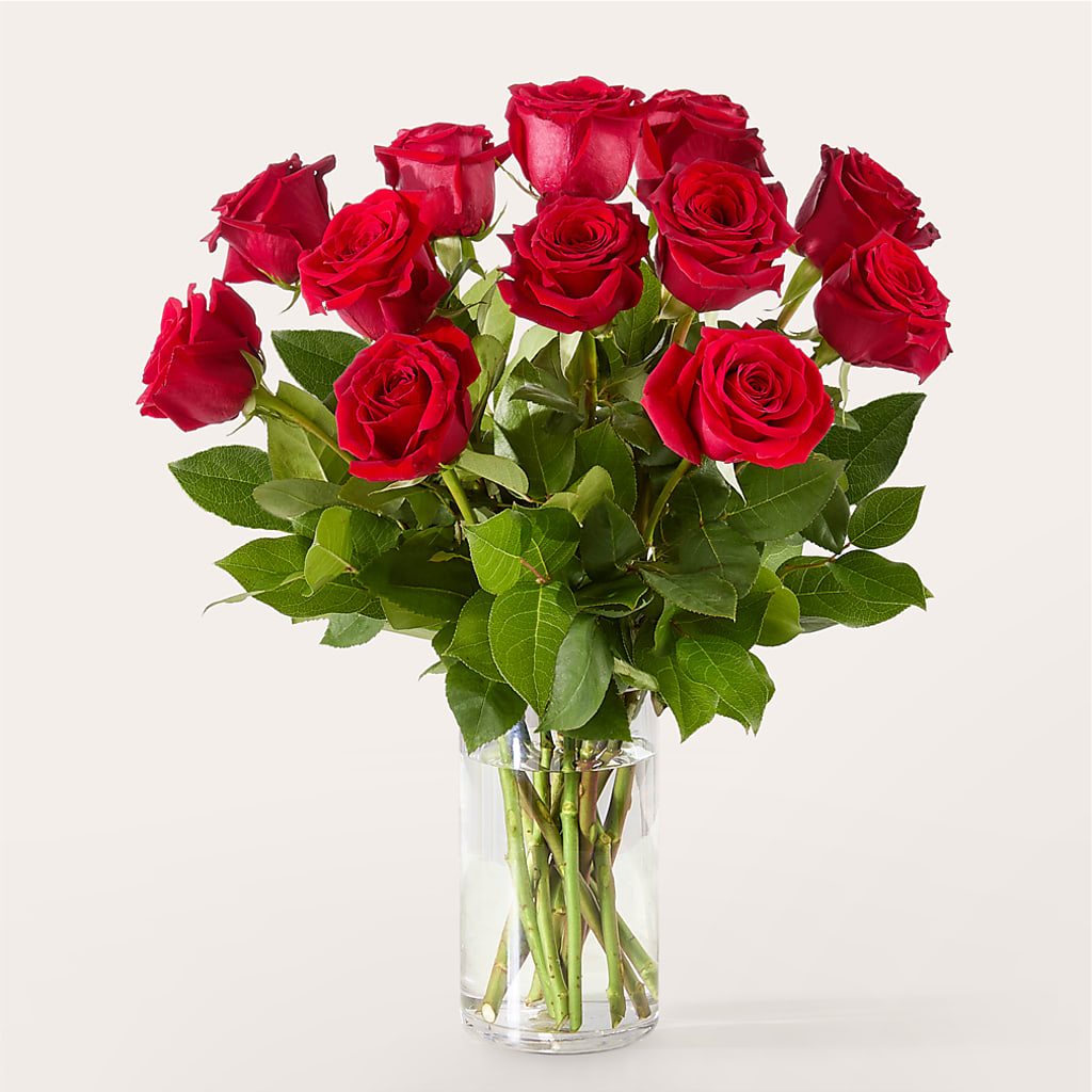 The One Red Rose Bouquet – Albertsons, Pleasanton CA