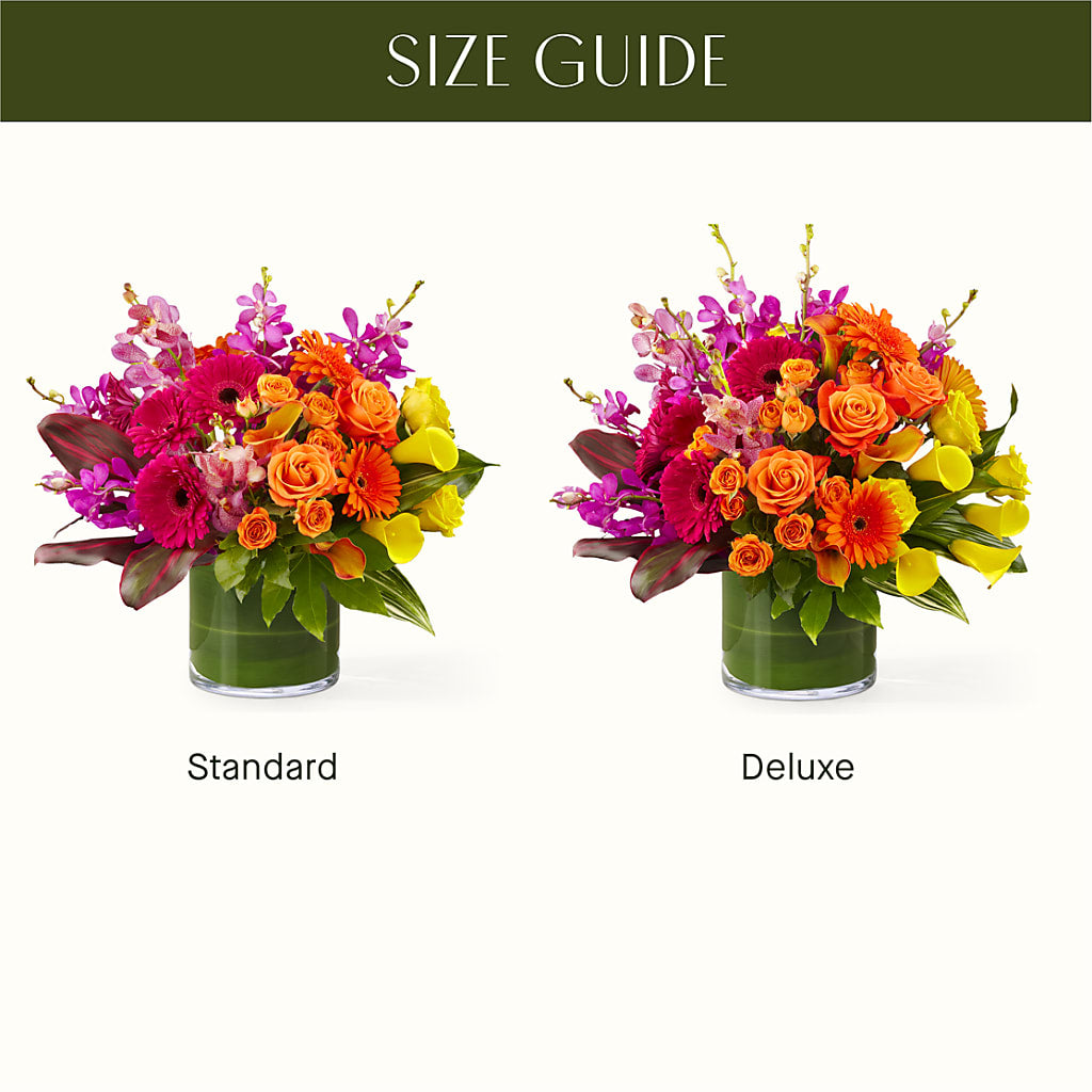 The Mosaic – Albertsons, Pleasanton CA