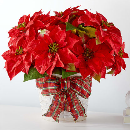 Happiest Holidays Poinsettia –  Albertsons, Pleasanton CA