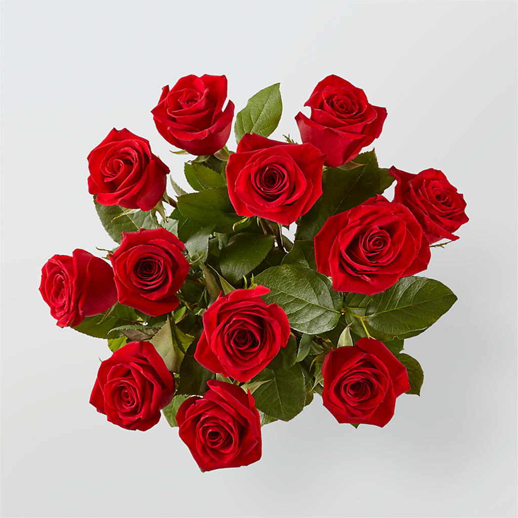 Long Stem Red Rose Bouquet –  Albertsons, Pleasanton CA