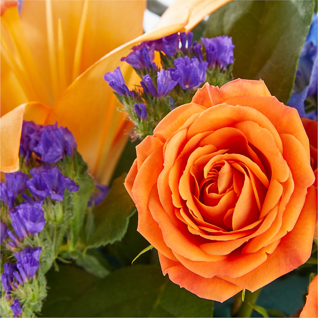 Radiant Citrus Box Bouquet –  Albertsons, Pleasanton CA