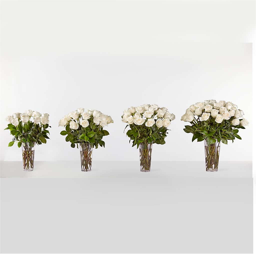 Long Stem White Rose Bouquet –  Albertsons, Pleasanton CA