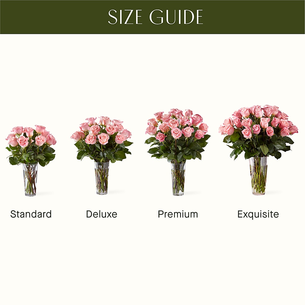 Long Stem Pink Rose Bouquet –  Albertsons, Pleasanton CA