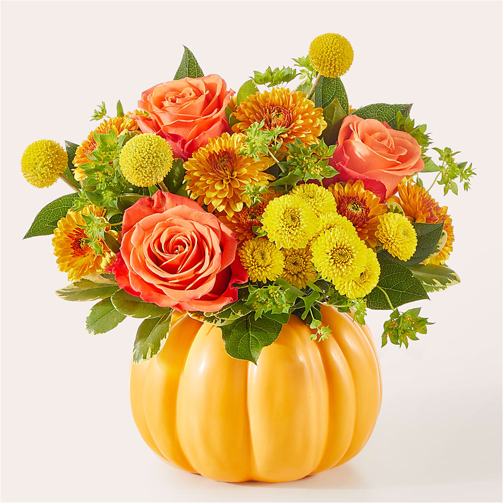 Gourdgeous Pumpkin –  Albertsons, Pleasanton CA