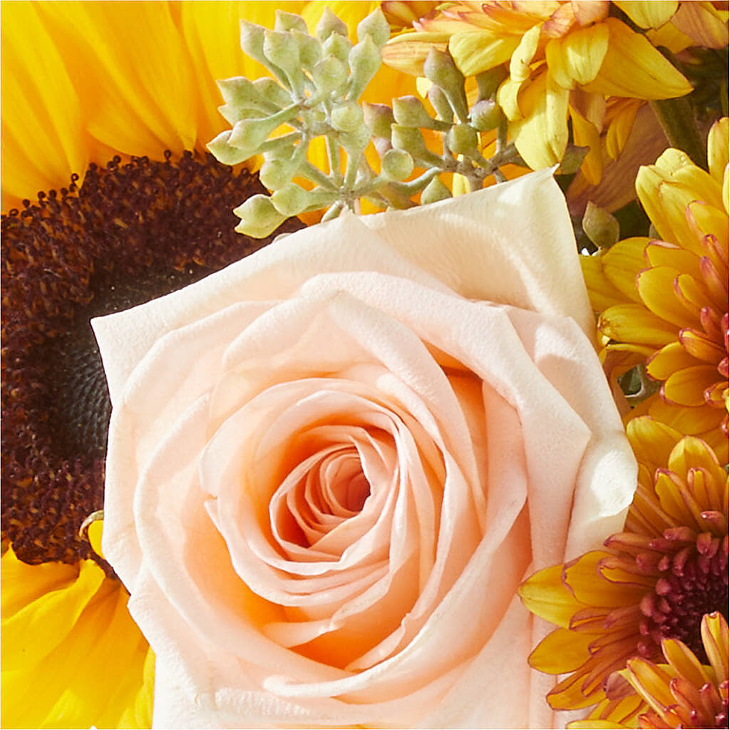 Pumpkin to Talk About Bouquet –  Albertsons, Pleasanton CA