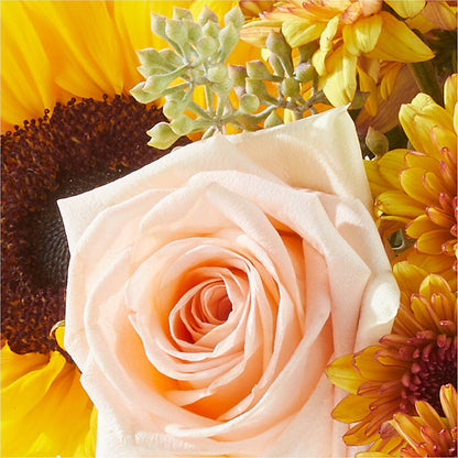 Pumpkin to Talk About Bouquet –  Albertsons, Pleasanton CA