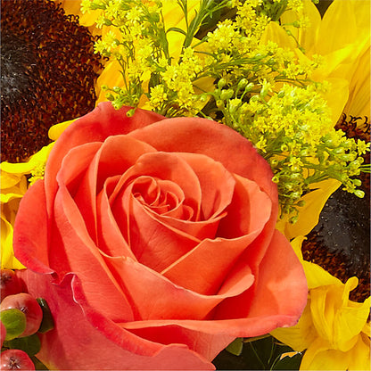 Pick of the Patch Pumpkin Bouquet –  Albertsons, Pleasanton CA