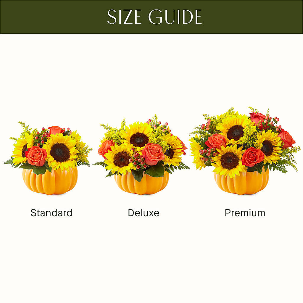 Pick of the Patch Pumpkin Bouquet –  Albertsons, Pleasanton CA