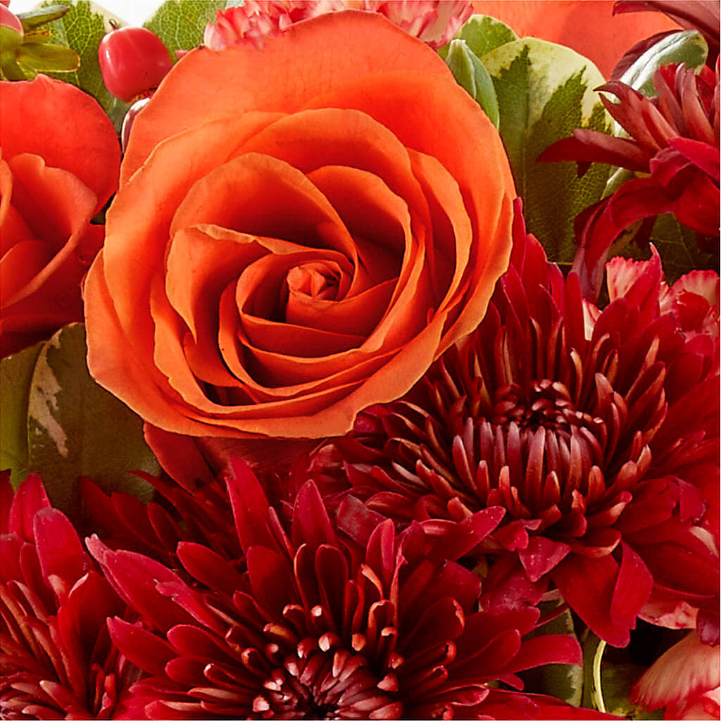 Autumn Air Pumpkin Bouquet –  Albertsons, Pleasanton CA