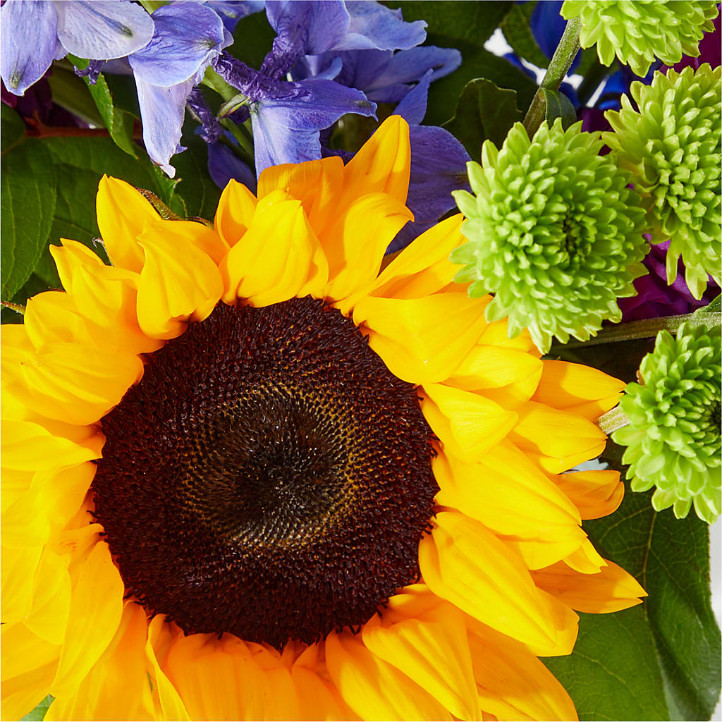 Catching Rays Bouquet –  Albertsons, Pleasanton CA