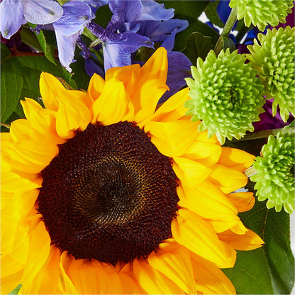 Catching Rays Bouquet –  Albertsons, Pleasanton CA