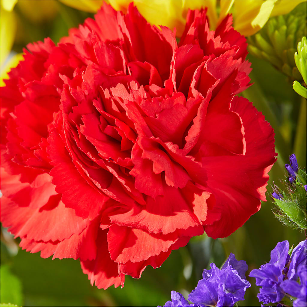 Brighter Days Bouquet –  Albertsons, Pleasanton CA