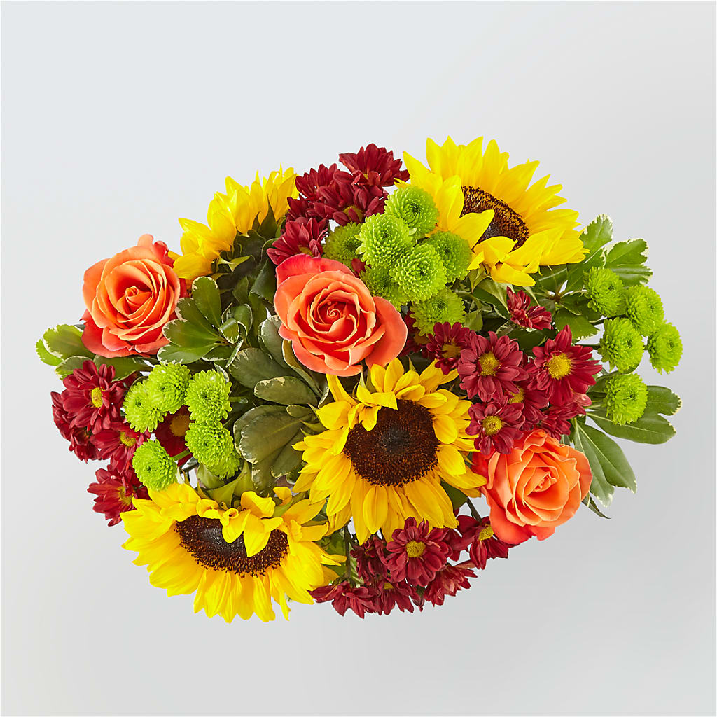 Happy Harvest Garden –  Albertsons, Pleasanton CA