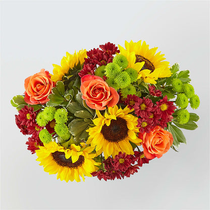 Happy Harvest Garden –  Albertsons, Pleasanton CA