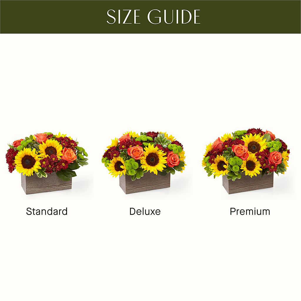 Happy Harvest Garden –  Albertsons, Pleasanton CA