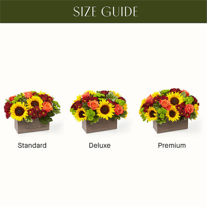 Happy Harvest Garden –  Albertsons, Pleasanton CA