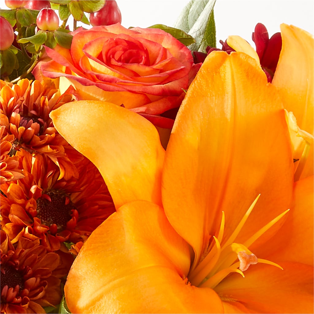 Backyard Bonfire Bouquet –  Albertsons, Pleasanton CA