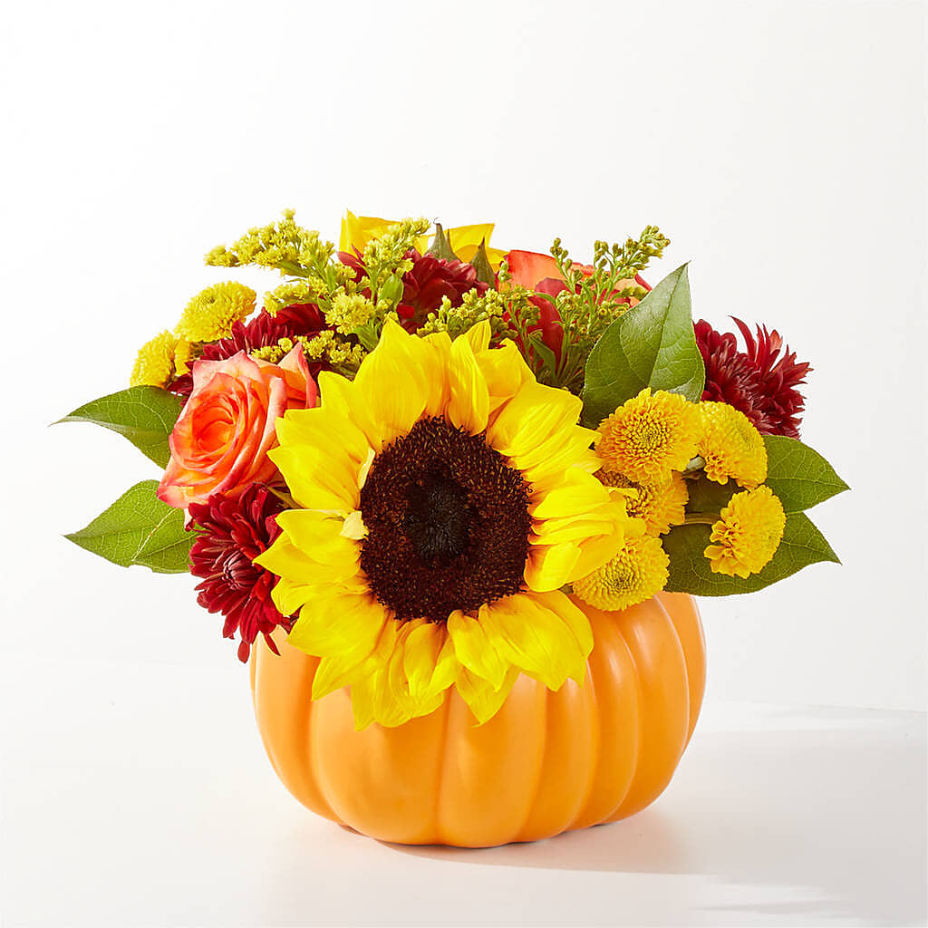 Golden Gourd Pumpkin Bouquet –  Albertsons, Pleasanton CA