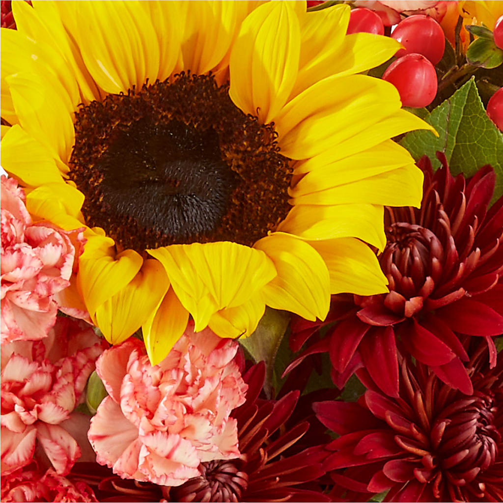Fresh Cider Bouquet –  Albertsons, Pleasanton CA