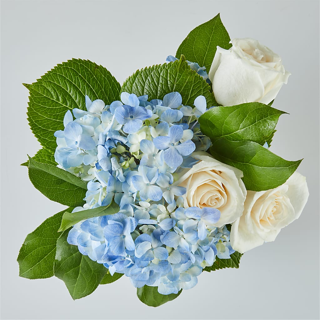 Sky Blue Delight Bouquet –  Albertsons, Pleasanton CA