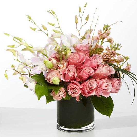 The Muse –  Albertsons, Pleasanton CA