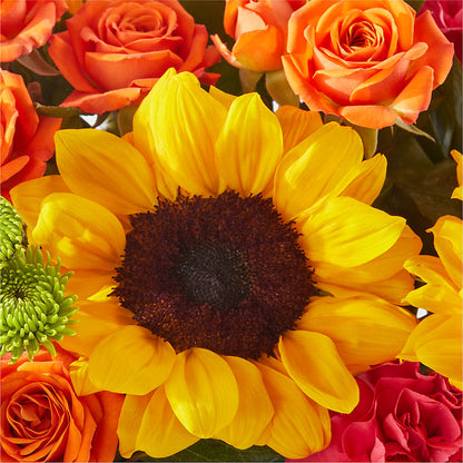 Sun-drenched Blooms Box Bouquet –  Albertsons, Pleasanton CA