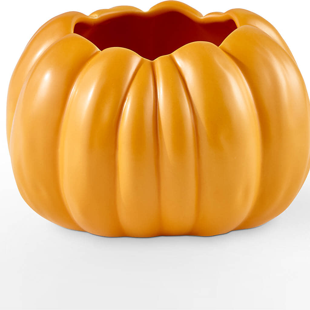 Golden Gourd Pumpkin Bouquet –  Albertsons, Pleasanton CA