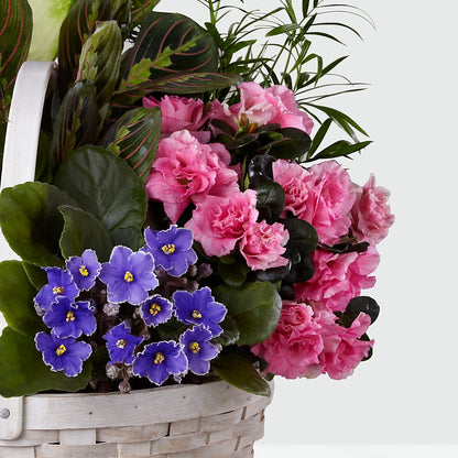 Peaceful Garden Planter –  Albertsons, Pleasanton CA