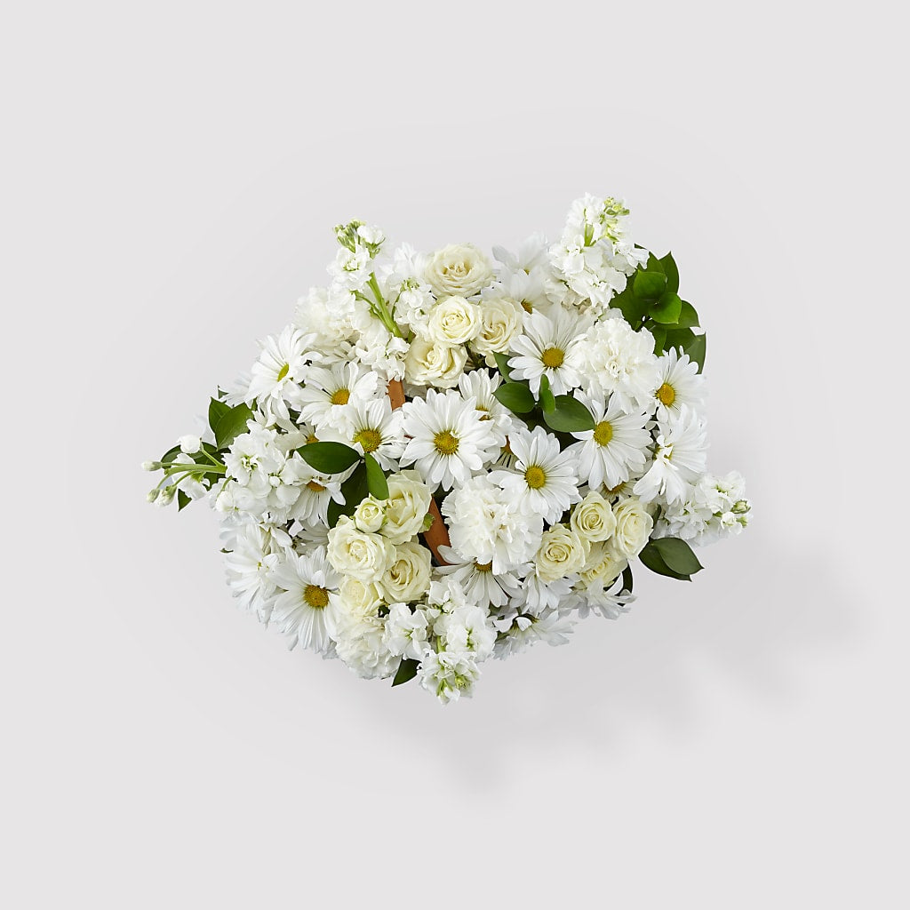 Graceful Garden Basket –  Albertsons, Pleasanton CA