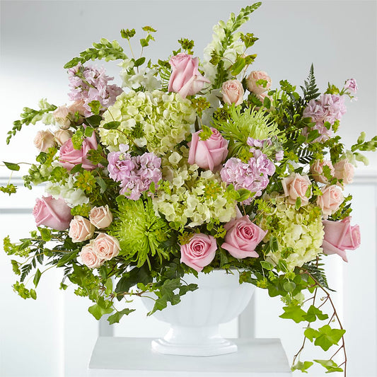 Radiant Embrace Arrangement –  Albertsons, Pleasanton CA