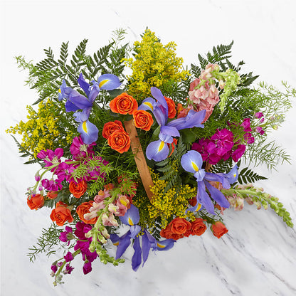 Garden of Life Basket –  Albertsons, Pleasanton CA