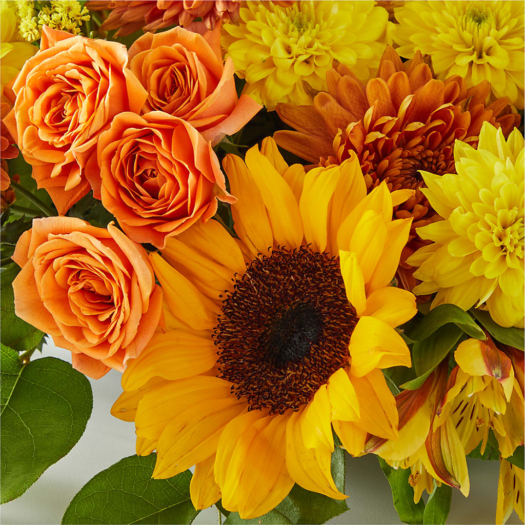 Autumn Harmony Centerpiece –  Albertsons, Pleasanton CA
