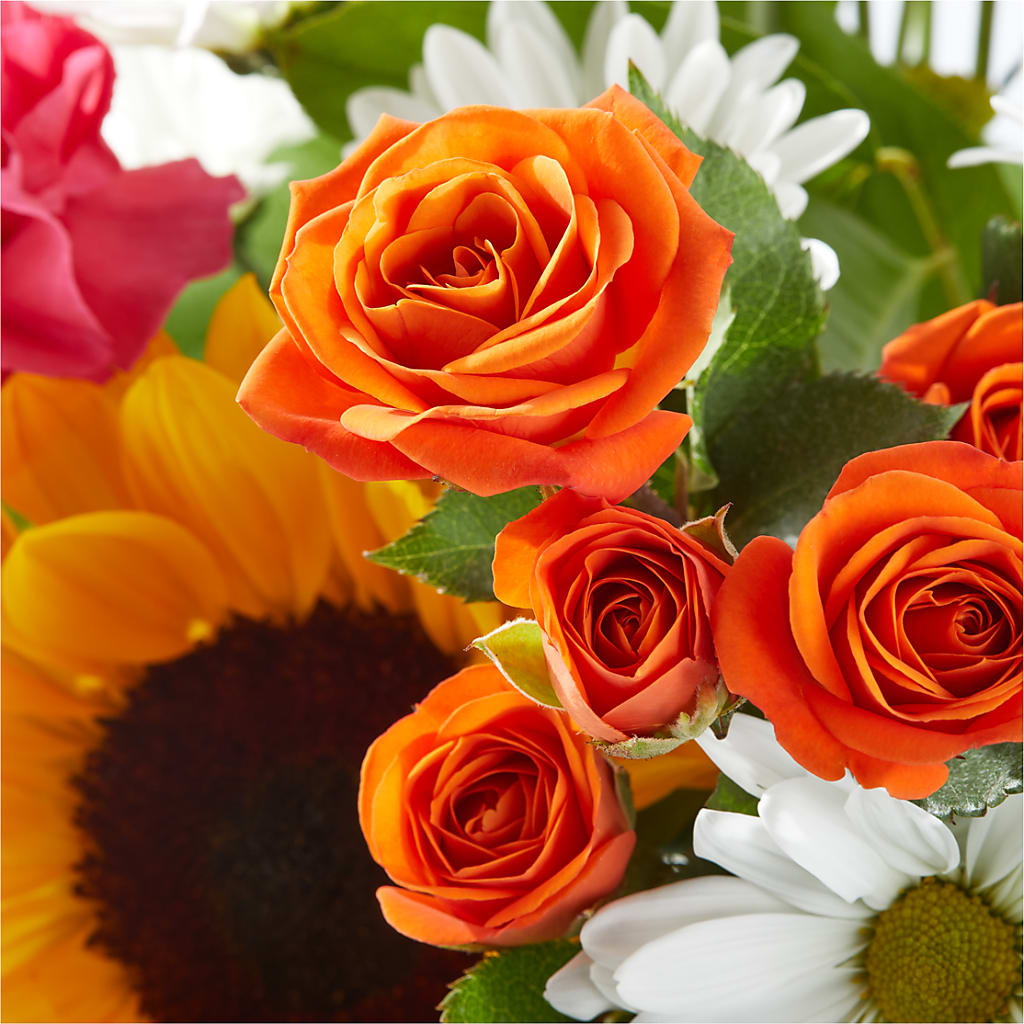 Sun-drenched Blooms Bouquet –  Albertsons, Pleasanton CA