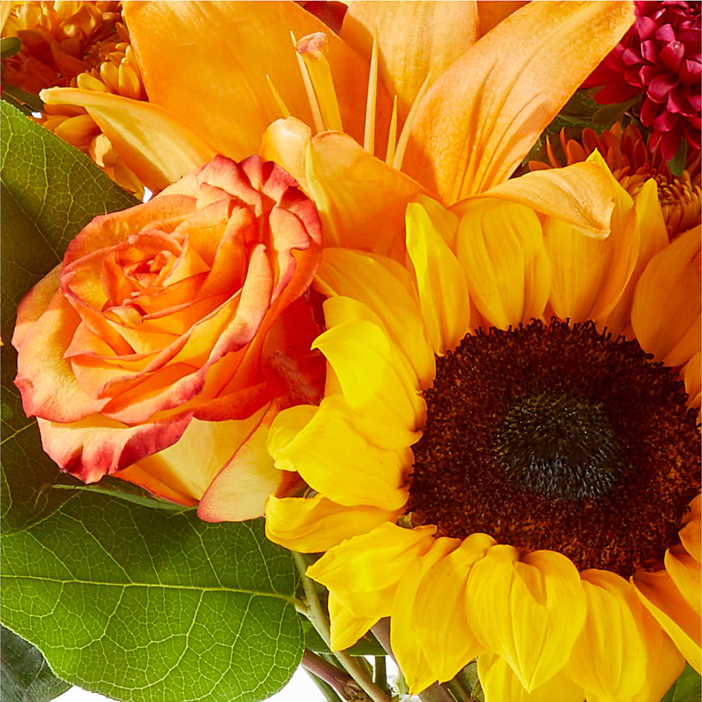 Fall Day Bouquet –  Albertsons, Pleasanton CA