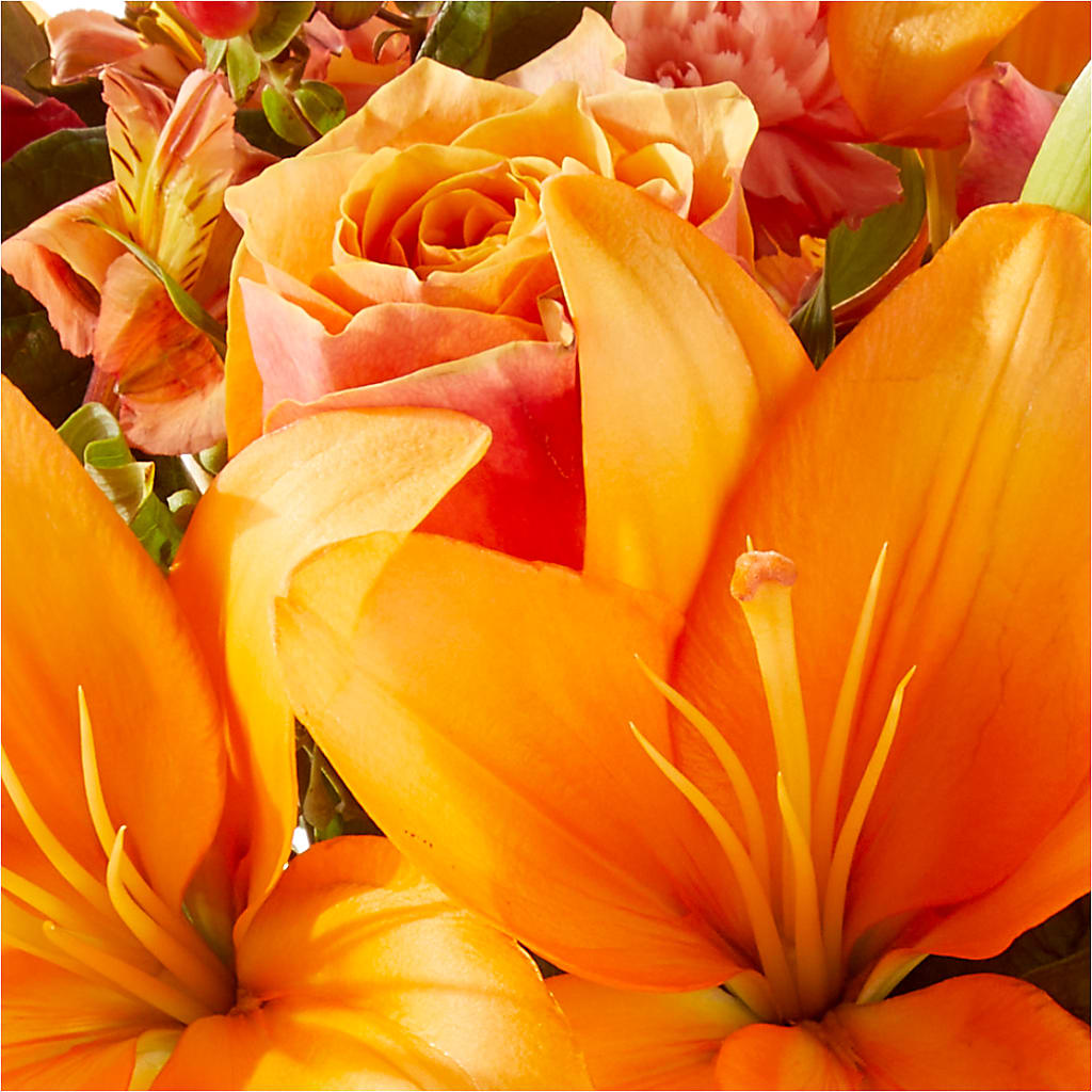 Afternoon Light Bouquet –  Albertsons, Pleasanton CA