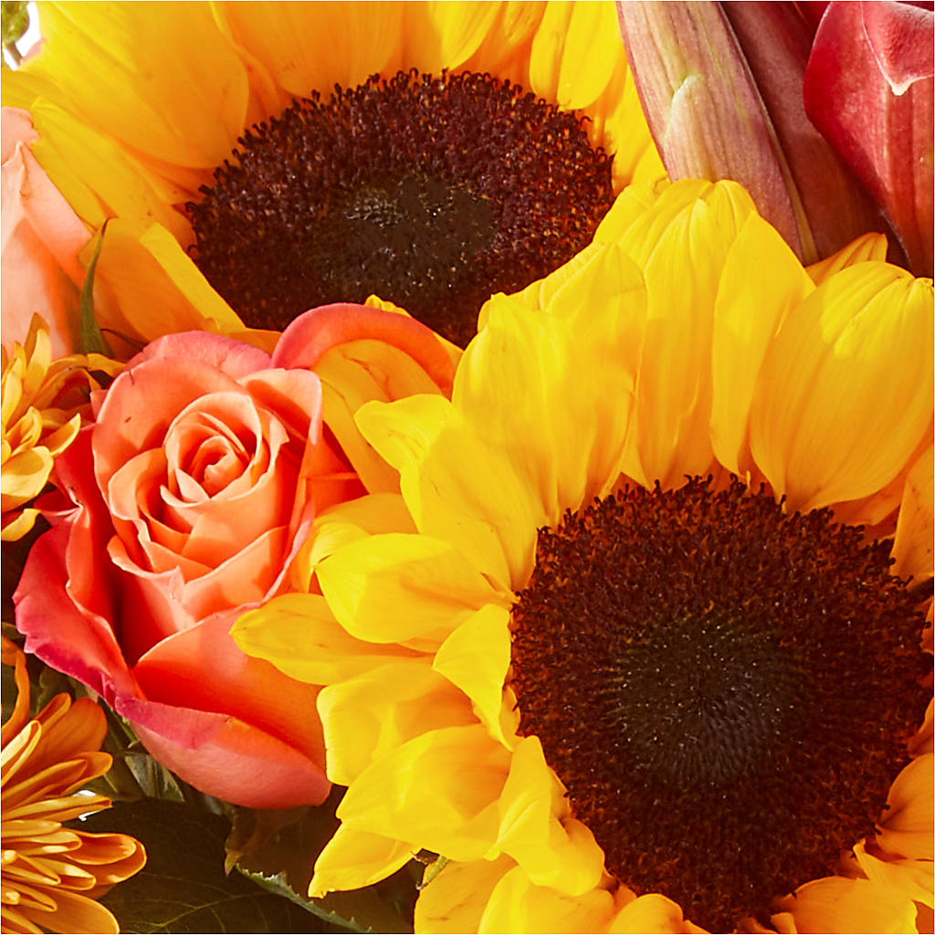 Acorn Lane Bouquet –  Albertsons, Pleasanton CA