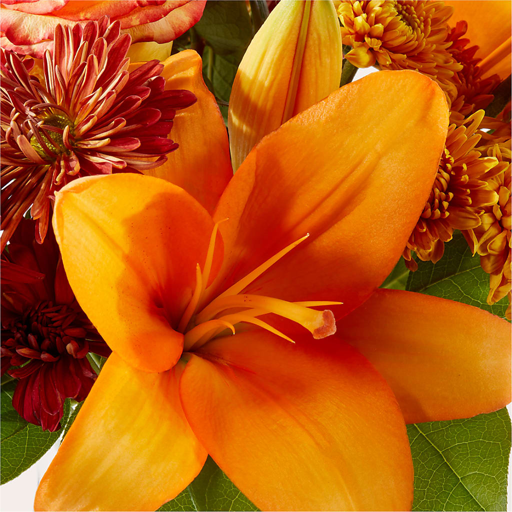 Autumnal Aroma Bouquet –  Albertsons, Pleasanton CA