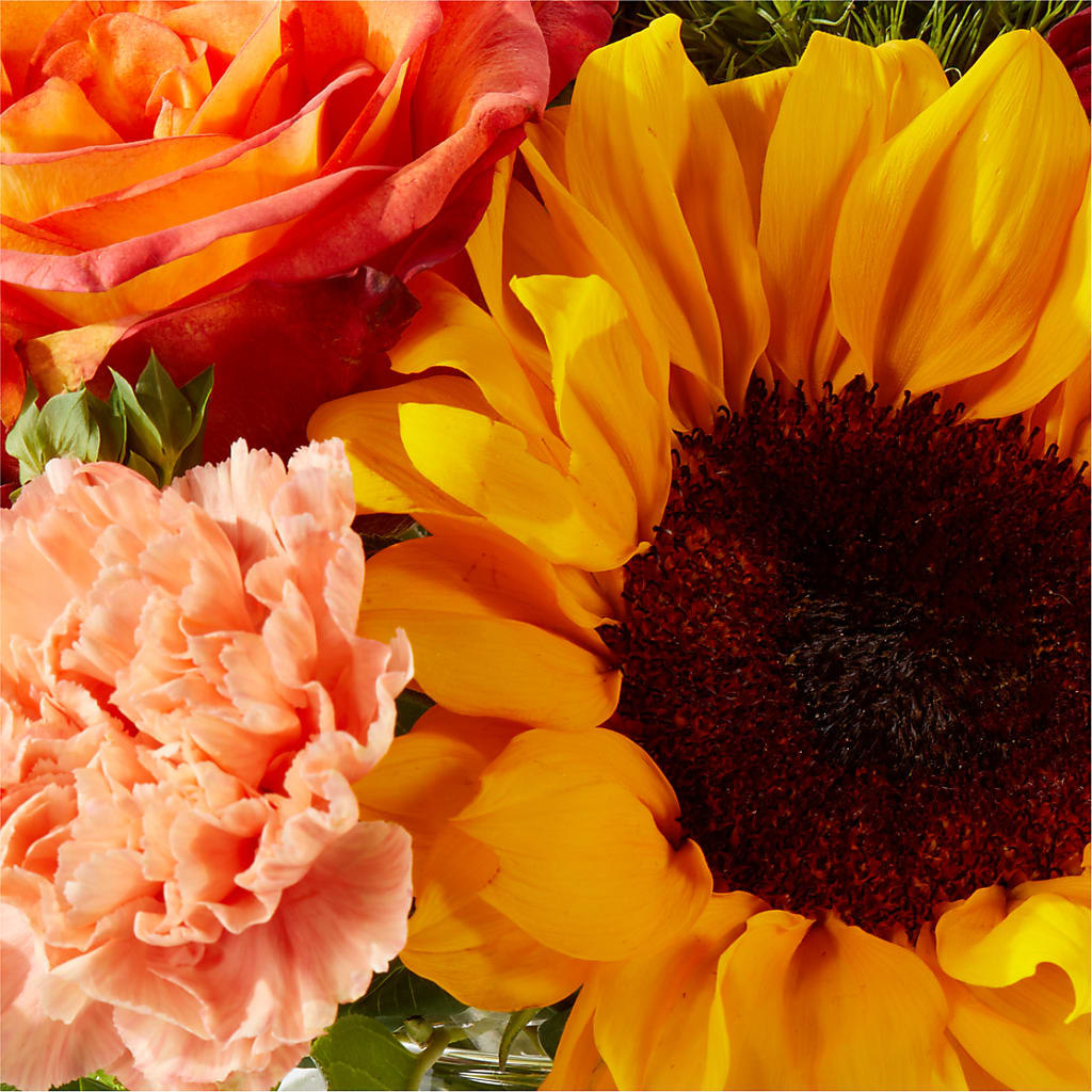 Harvest Festival Bouquet –  Albertsons, Pleasanton CA